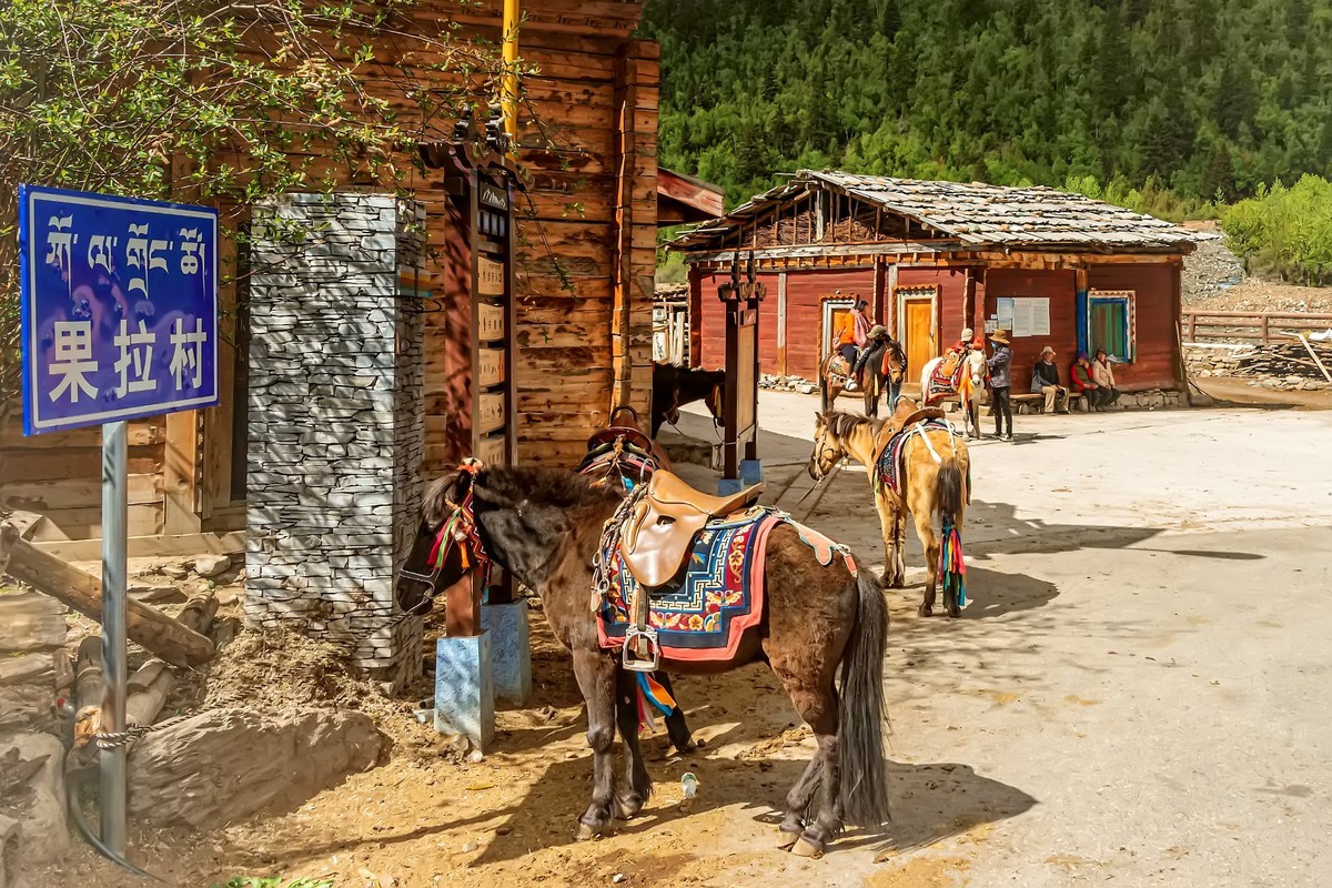 林芝波密 · 米堆冰川