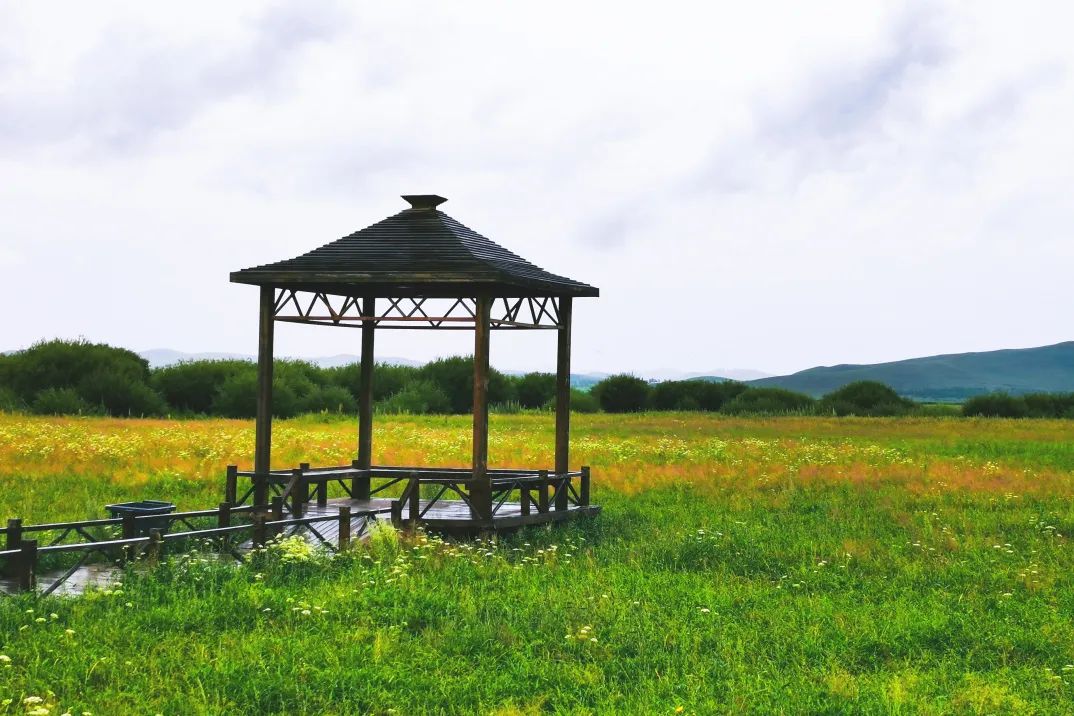 京北草原大汗行宫 | 初夏的草原美如画