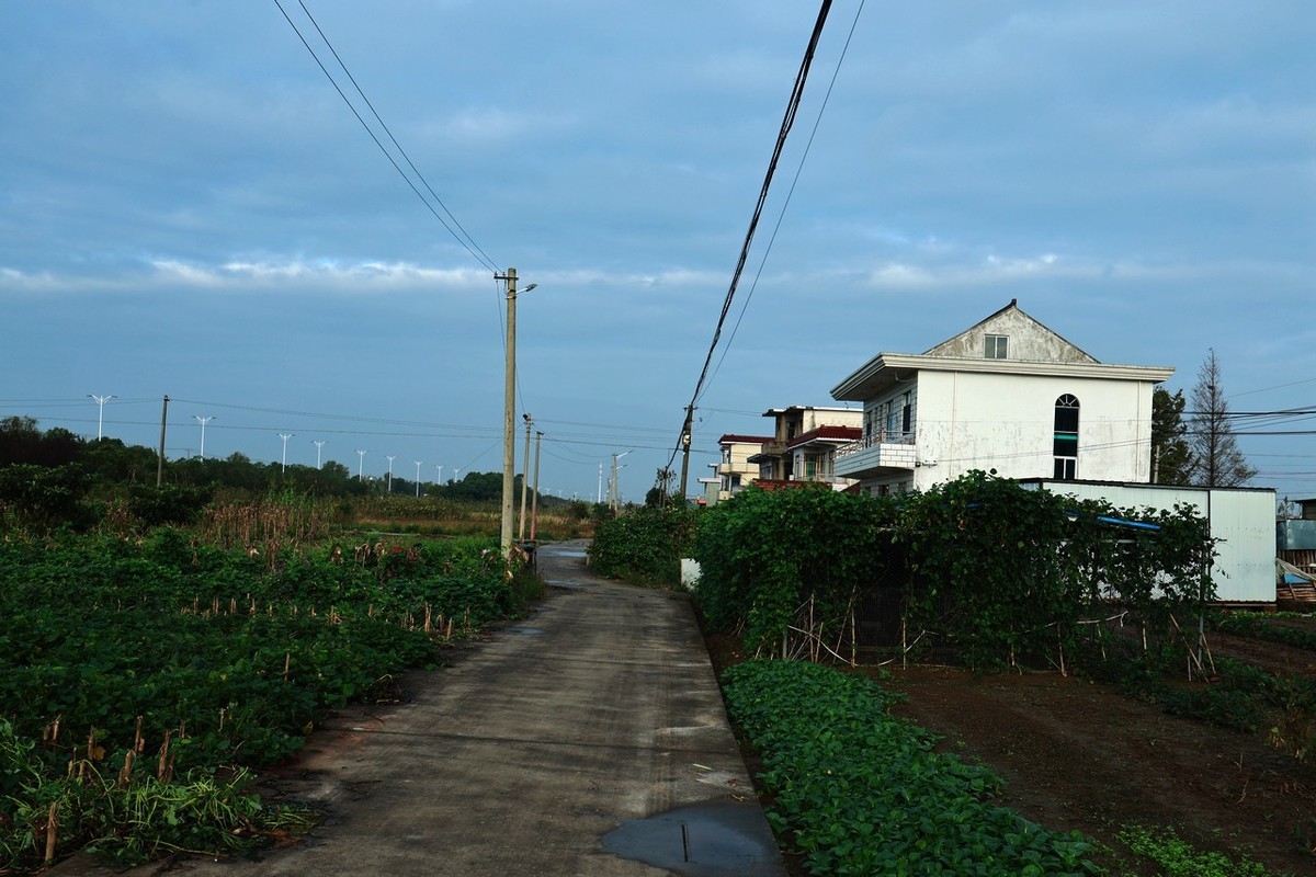 乡村随手拍 ------ 1