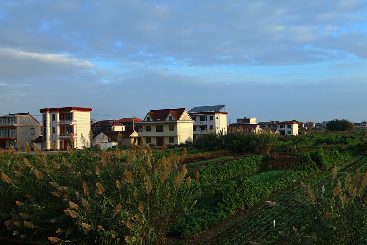 乡村随手拍 ------ 1