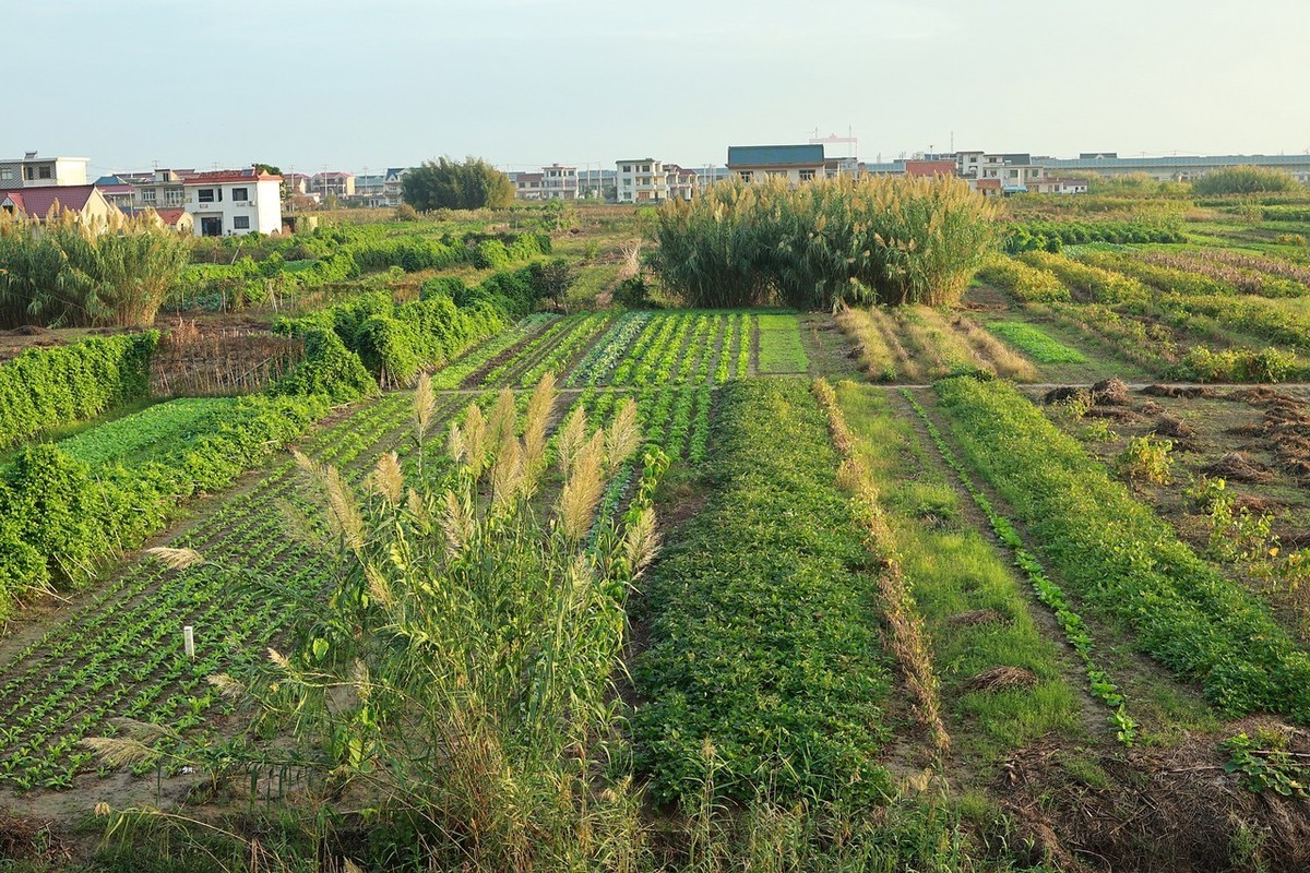 乡村随手拍 ------ 1