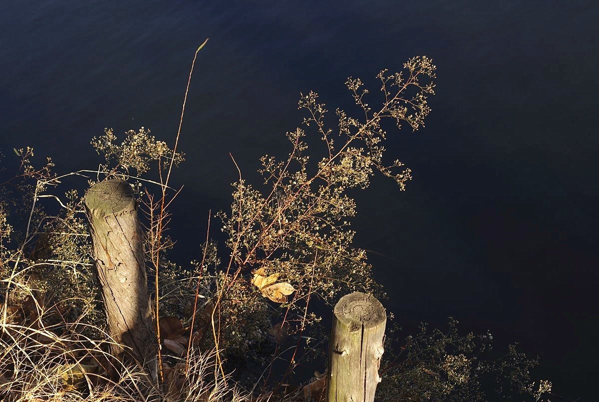 冬日的公园静悄悄