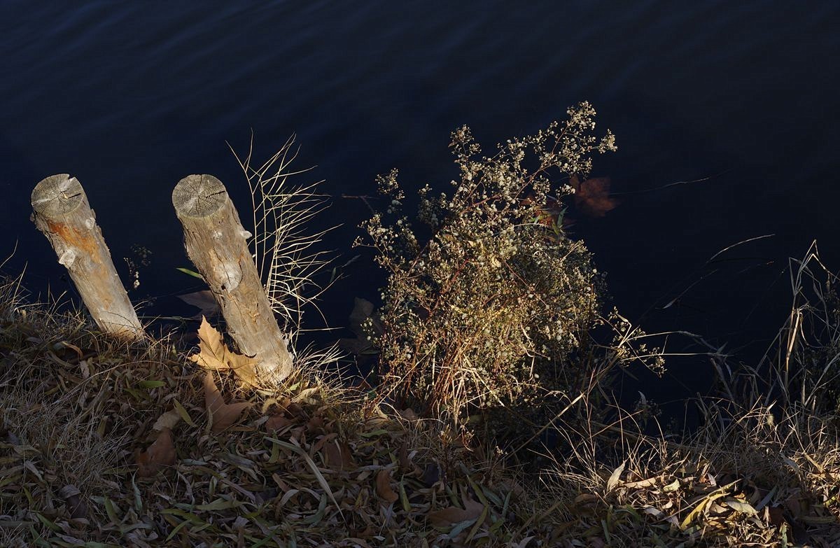 冬日的公园静悄悄