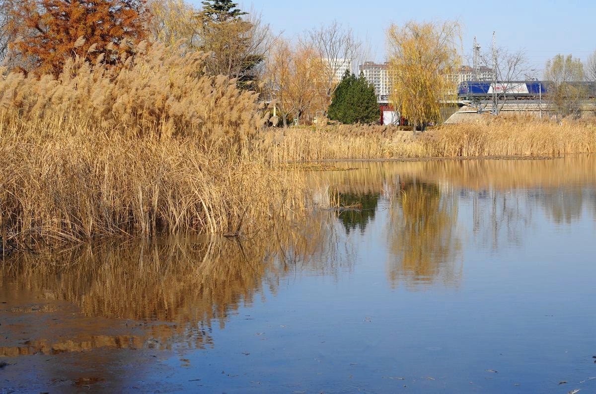冬日的公园静悄悄