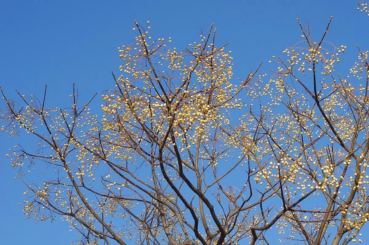 冬日的公园静悄悄