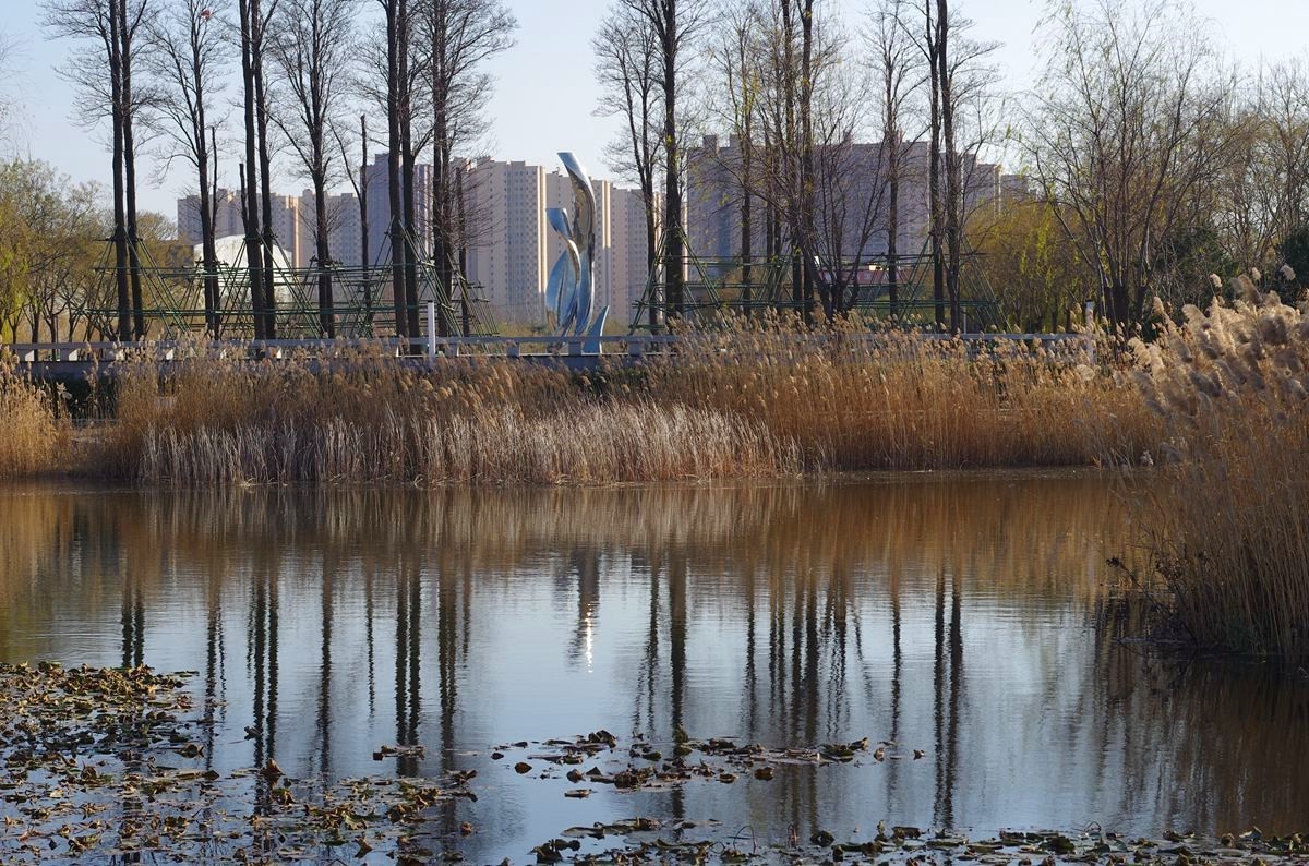 冬日的公园静悄悄