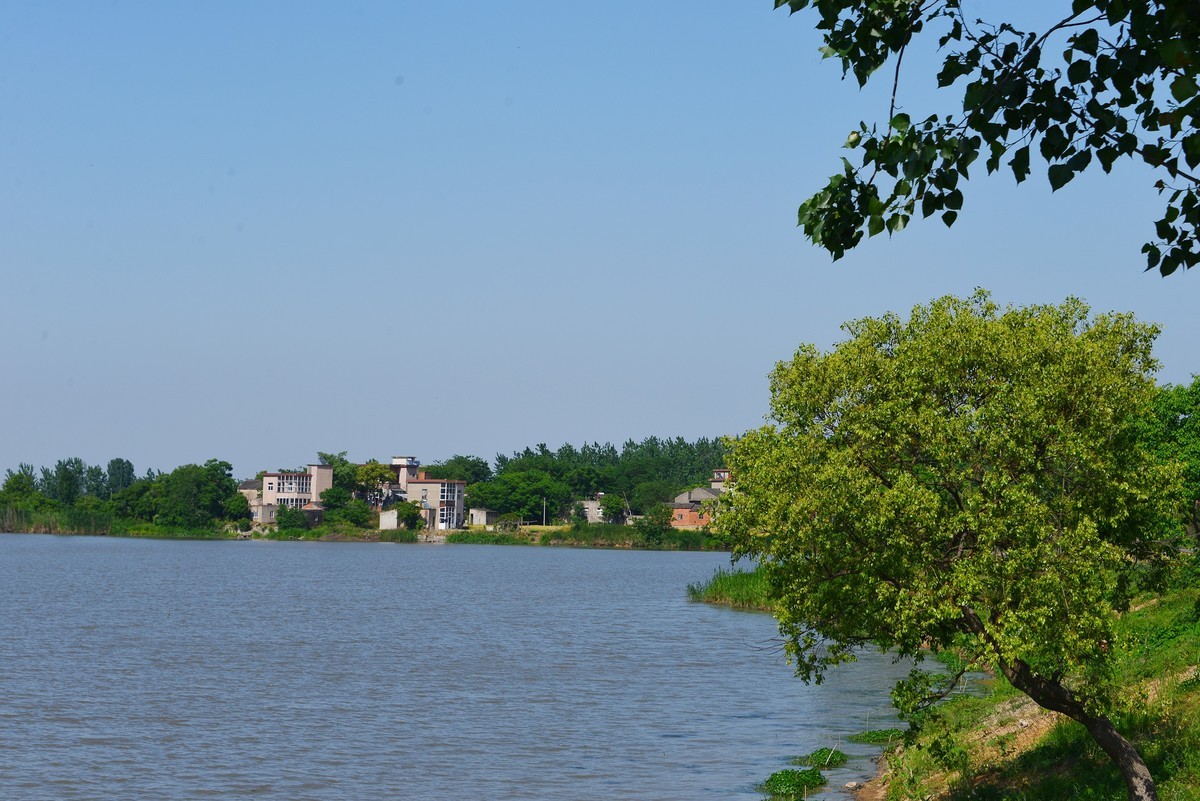 三湖一坝生态湿地公园