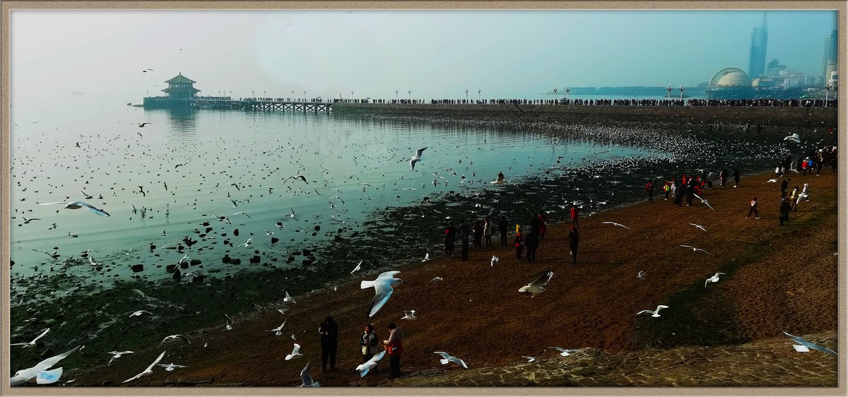 雾海欧影