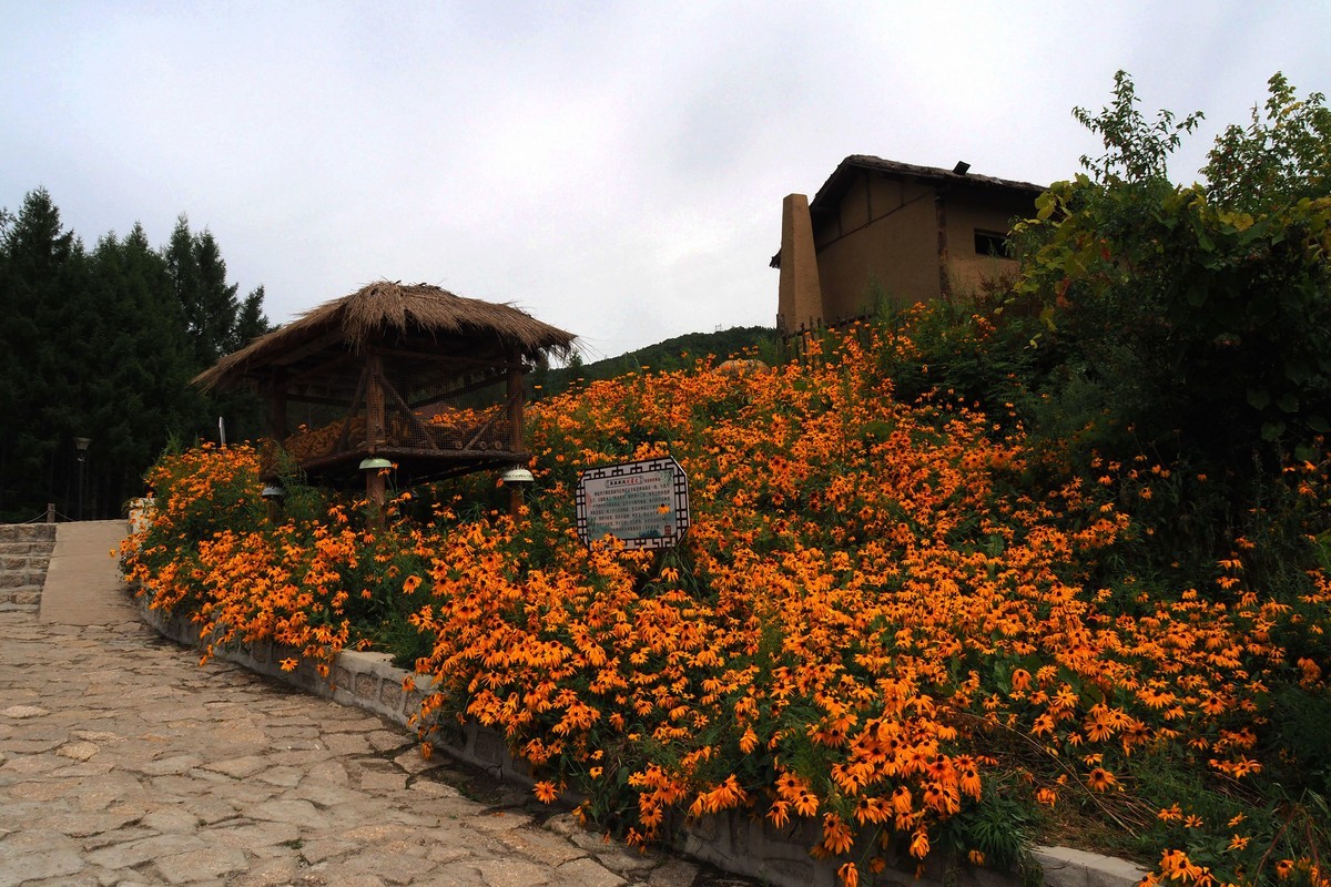 横道河子镇——七里地村游玩（完）