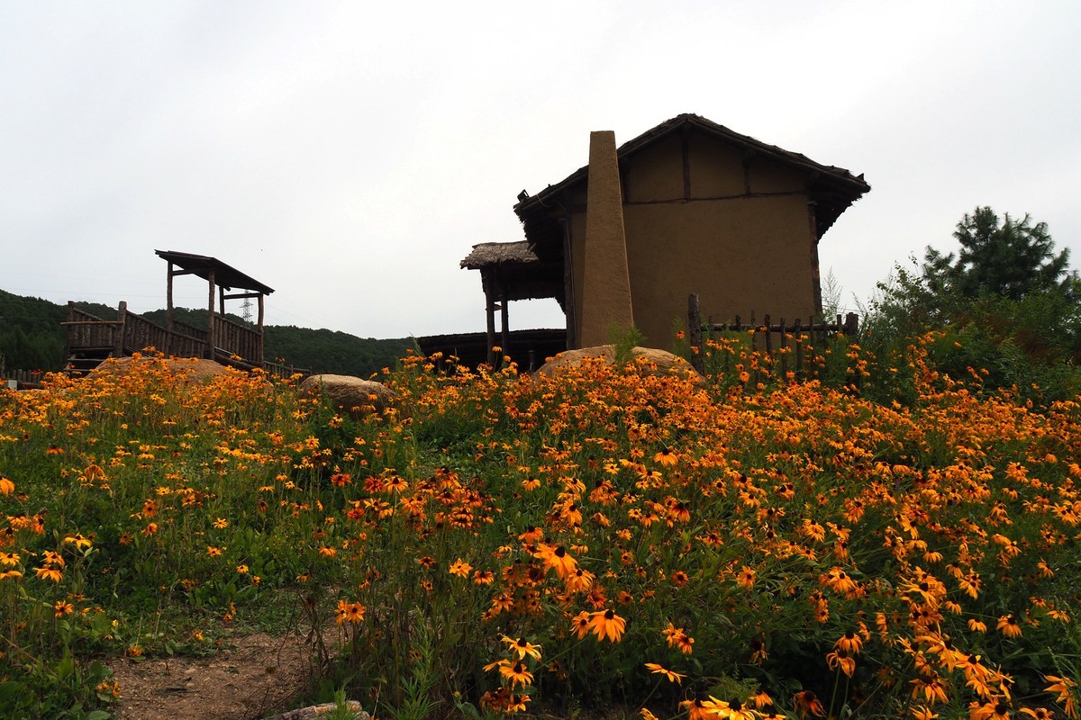 横道河子镇——七里地村游玩（完）