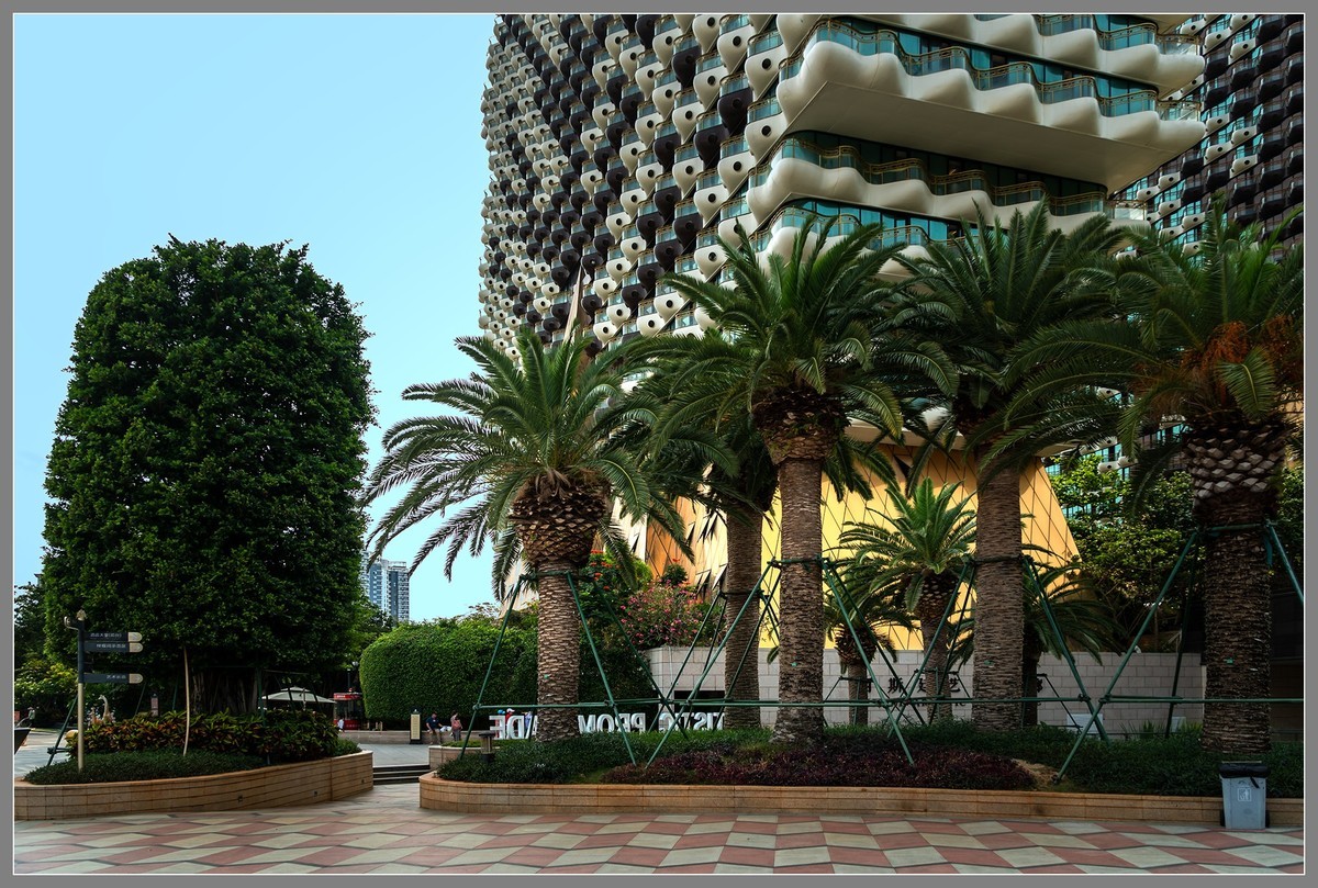 海南旅游09：金碧辉煌打卡地——美丽之冠大树酒店（下）