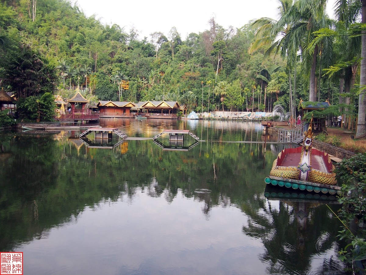 云南之行－－西双版纳孔雀园（1）二精