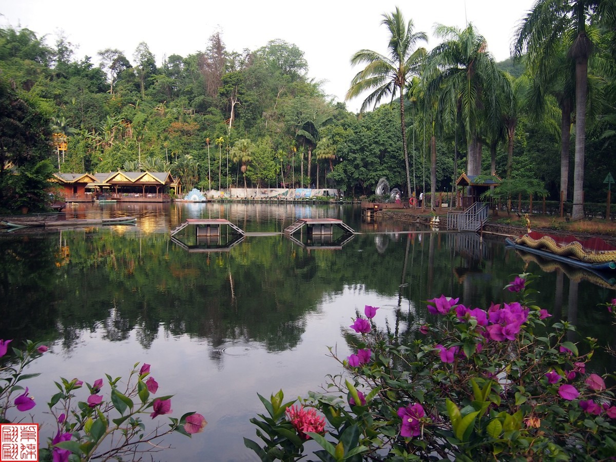 云南之行－－西双版纳孔雀园（1）二精