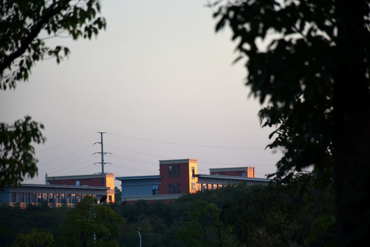 漫步星城 走街串巷（401）只争朝夕