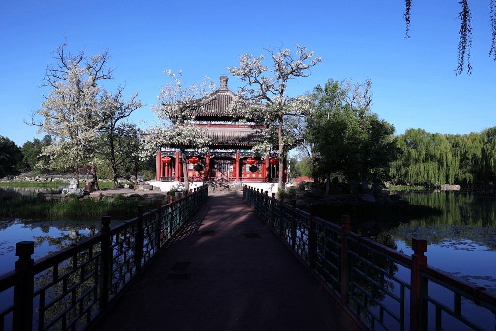 圆明园春游记