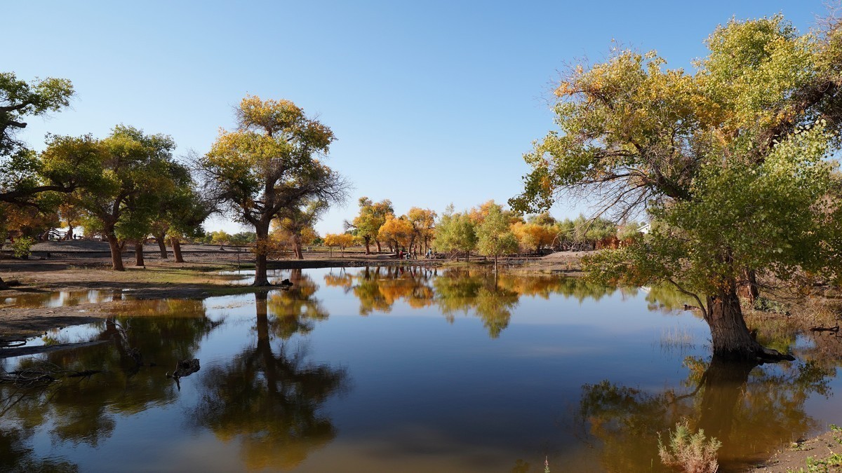 版主坐堂#索尼大版论坛2022年5月份优秀作品精选汇总