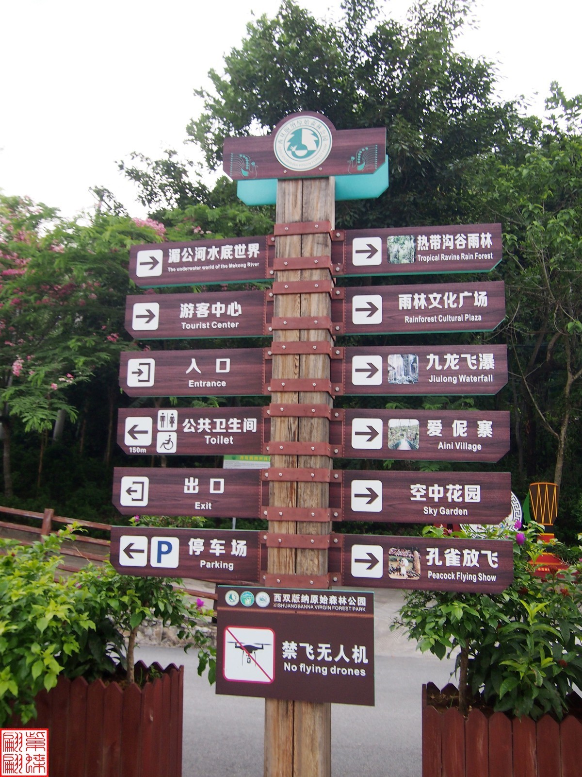 云南之行－－西双版纳孔雀园（1）二精