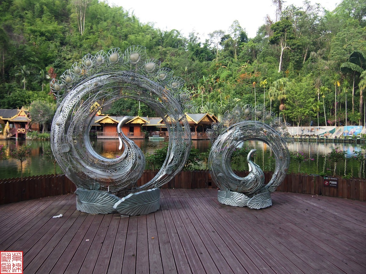 云南之行－－西双版纳孔雀园（1）二精