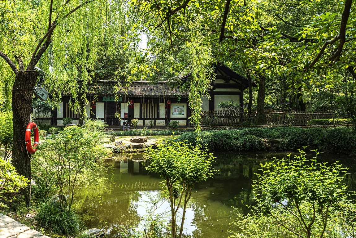 江南行【35】绍兴古城随拍--沈园