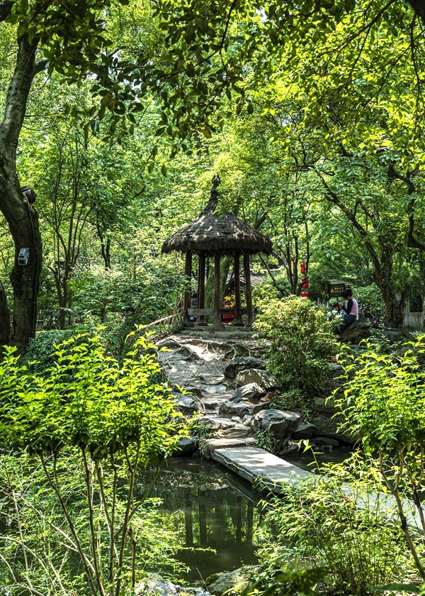 江南行【35】绍兴古城随拍--沈园