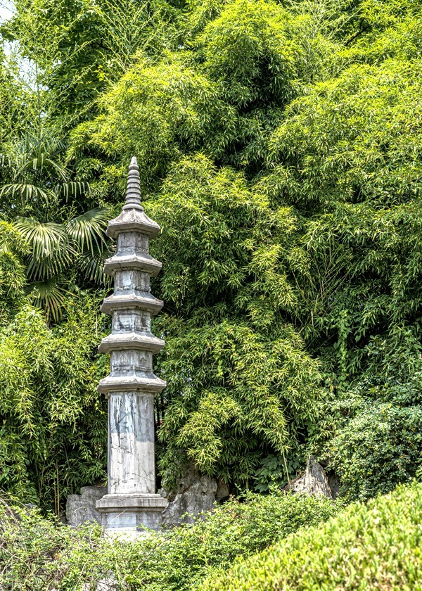 江南行【35】绍兴古城随拍--沈园