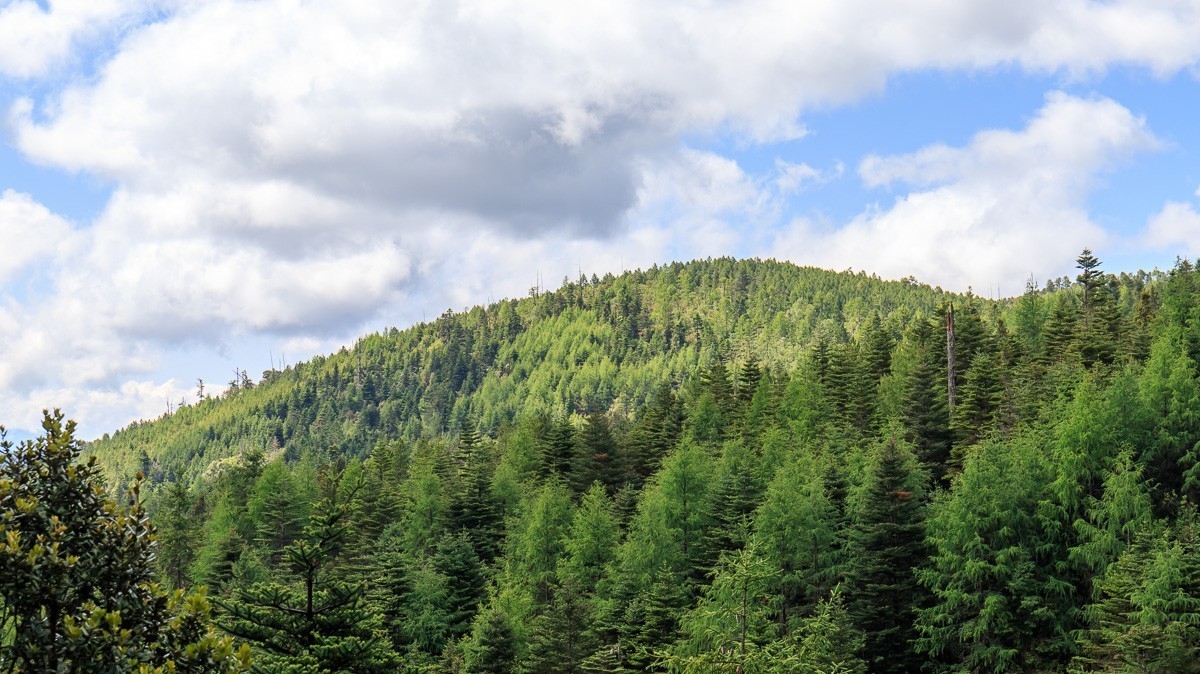 2023.6.25游木里藏族自治县丁冬海子