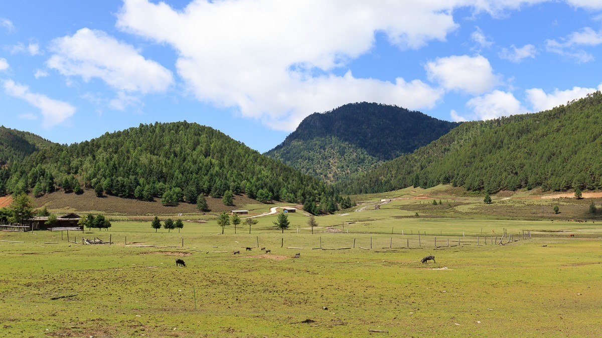 2023.6.25游木里藏族自治县丁冬海子