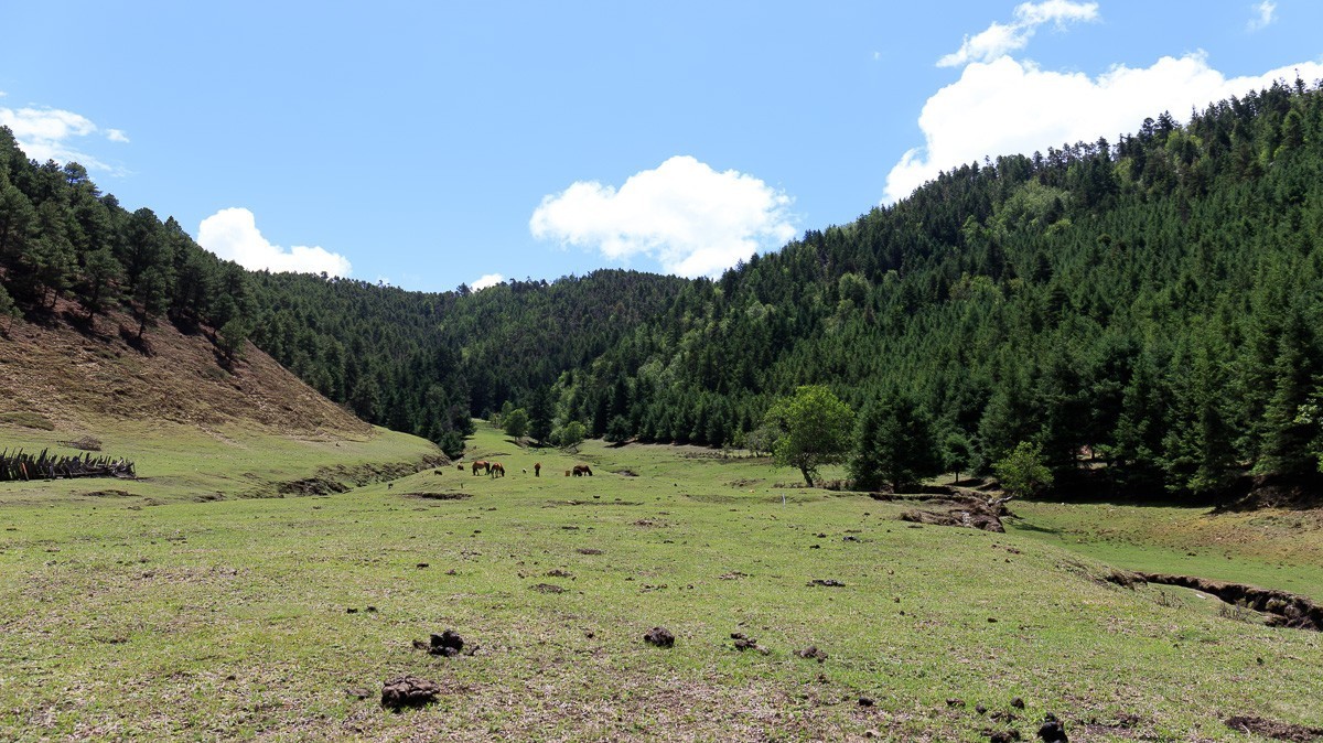 2023.6.25游木里藏族自治县丁冬海子