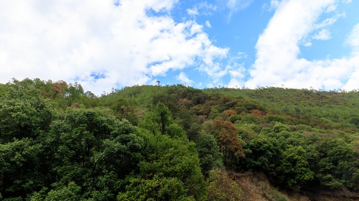 2023.6.25游木里藏族自治县丁冬海子