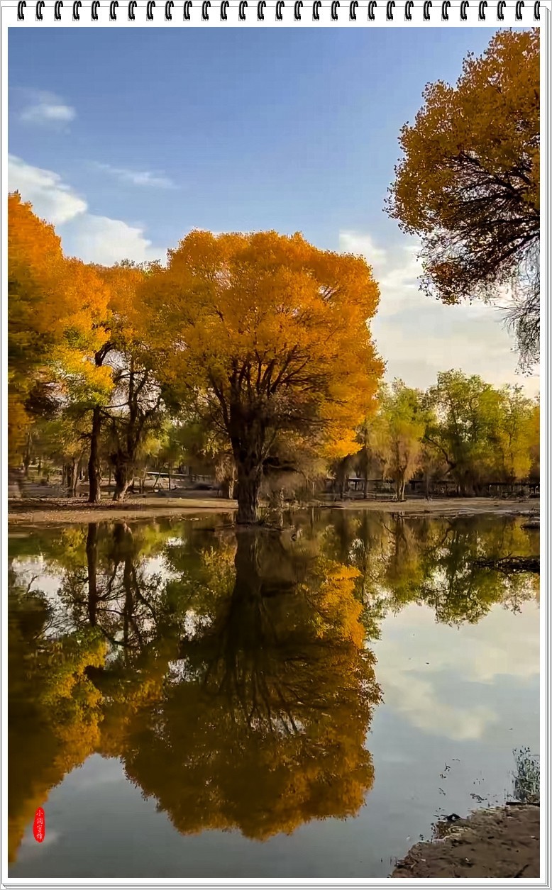 2023年-胡杨风光纪实抓拍-968