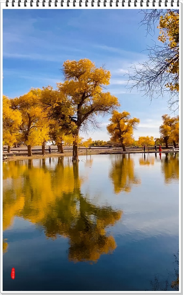 2023年-额济纳胡杨纪实抓拍-970