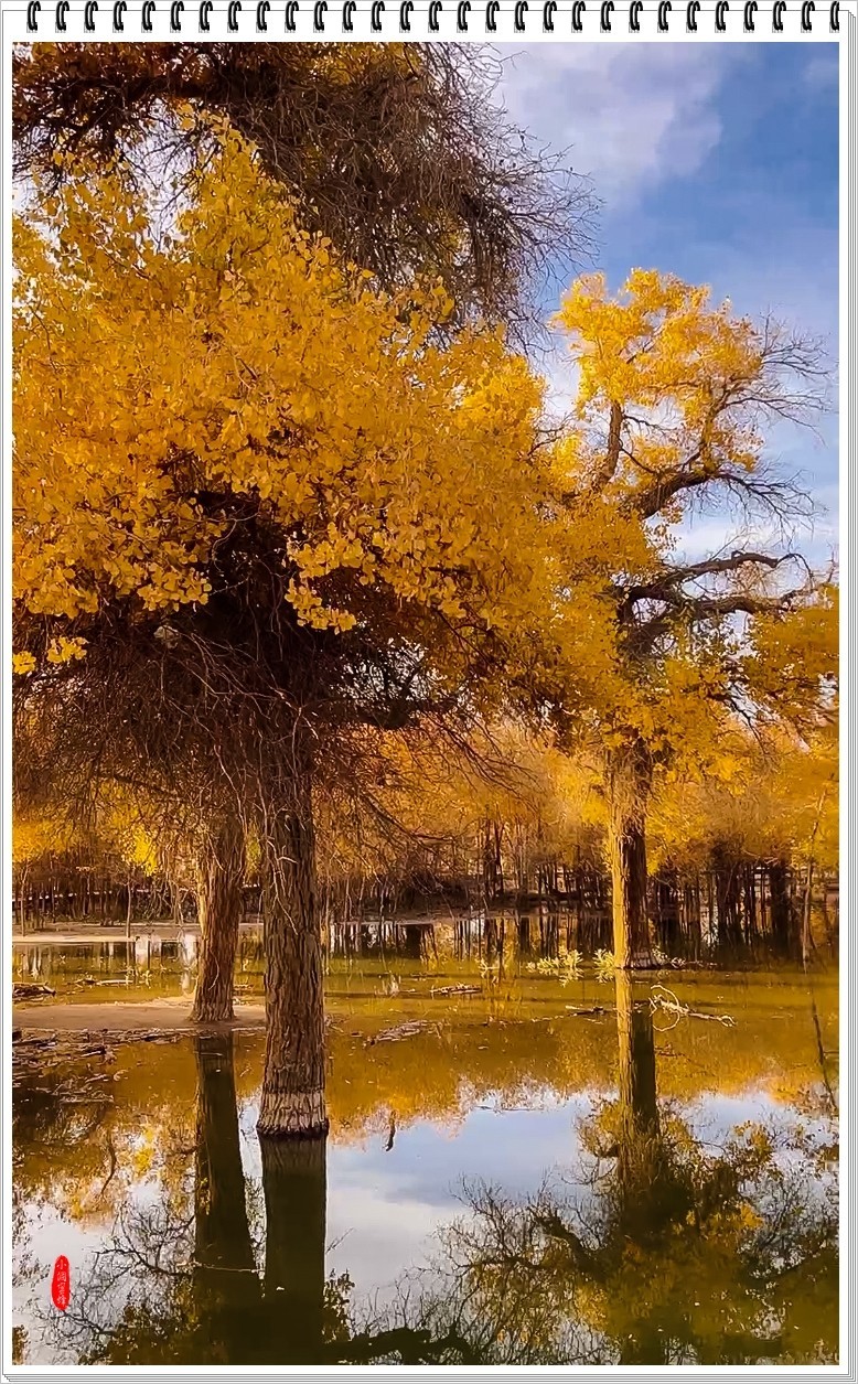 2023年-额济纳胡杨纪实抓拍-970