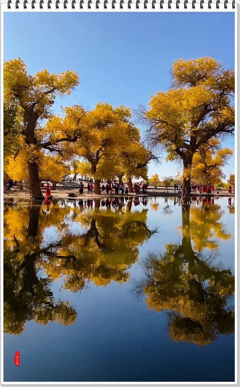 2023年-额济纳胡杨纪实抓拍-970