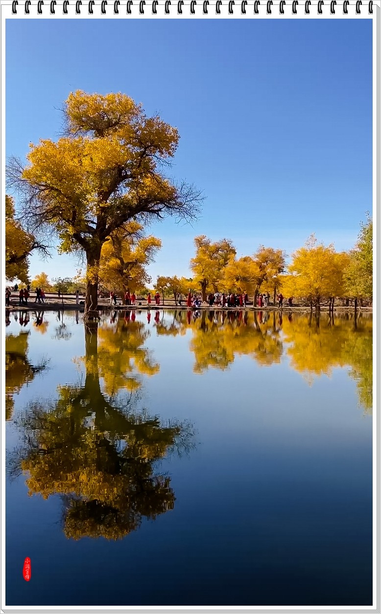 2023年-额济纳胡杨纪实抓拍-970