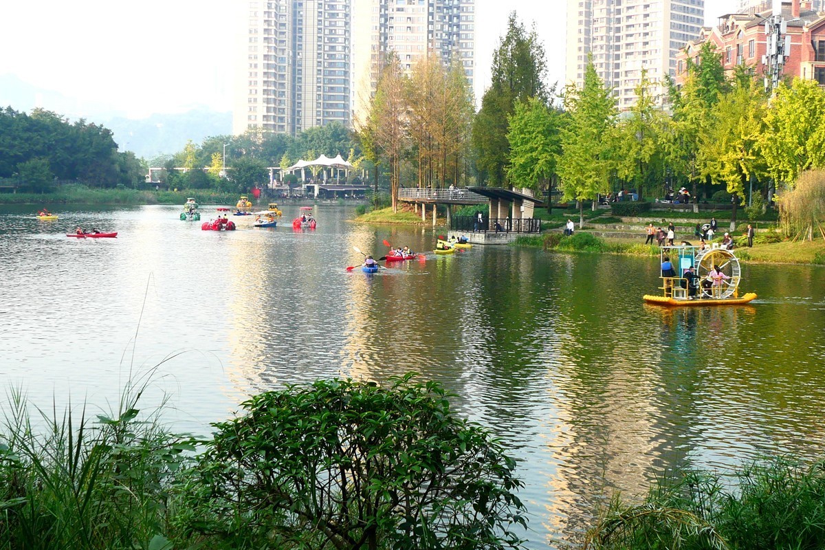 初冬融侨公园六