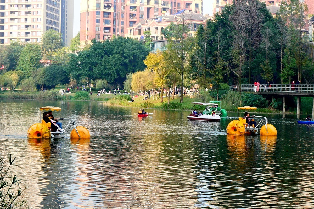 初冬融侨公园六