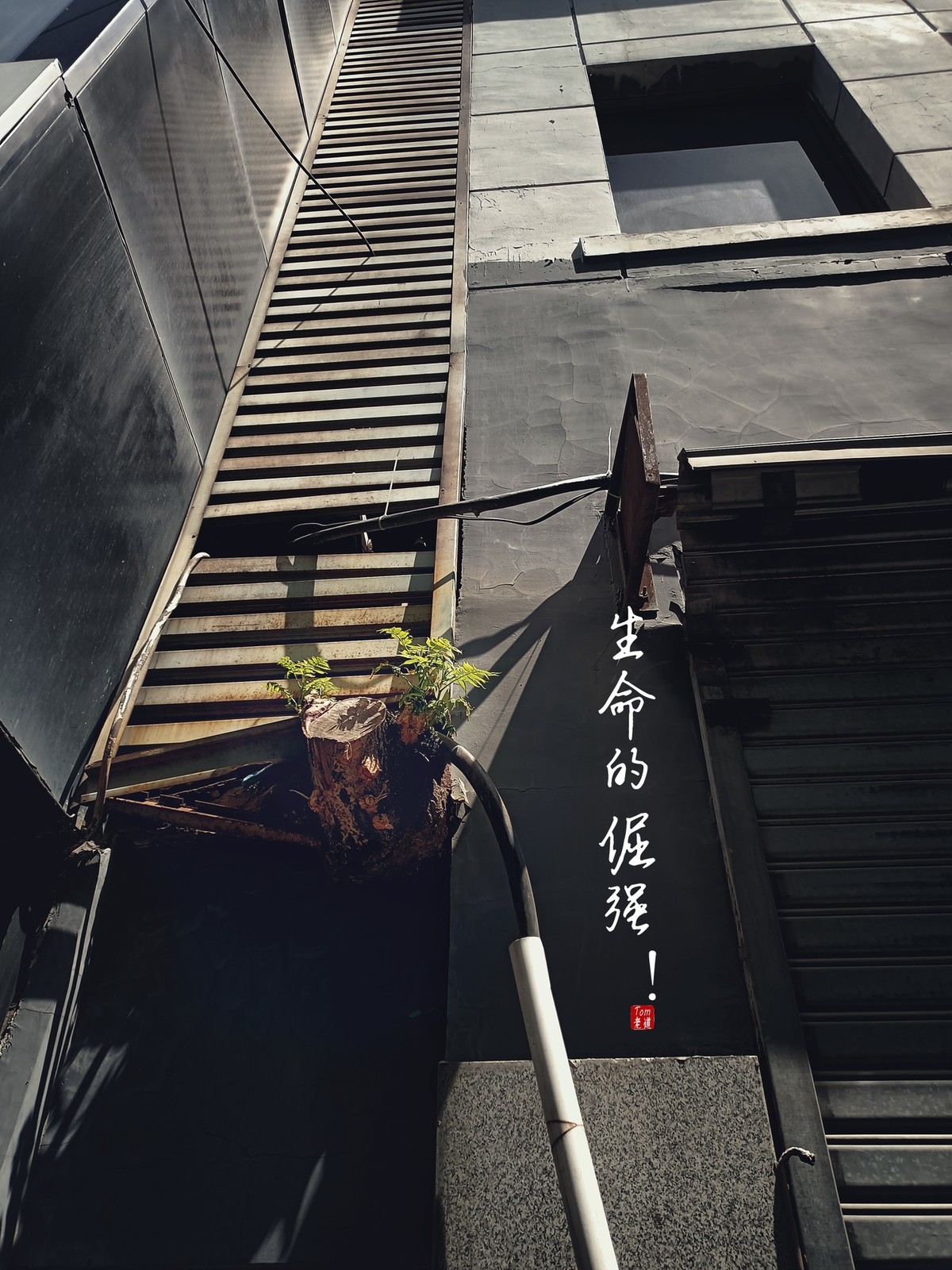 2023年终单幅作品