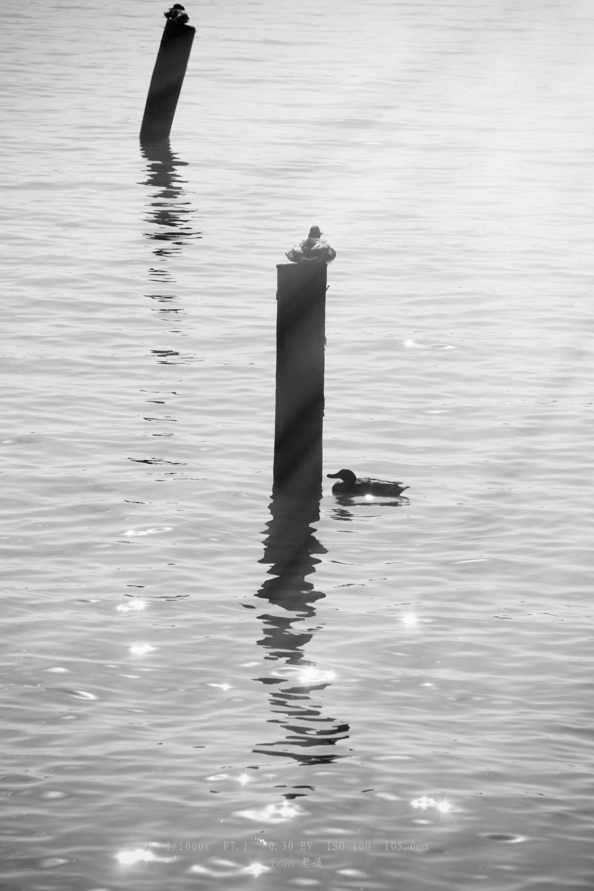 2023年终单幅作品