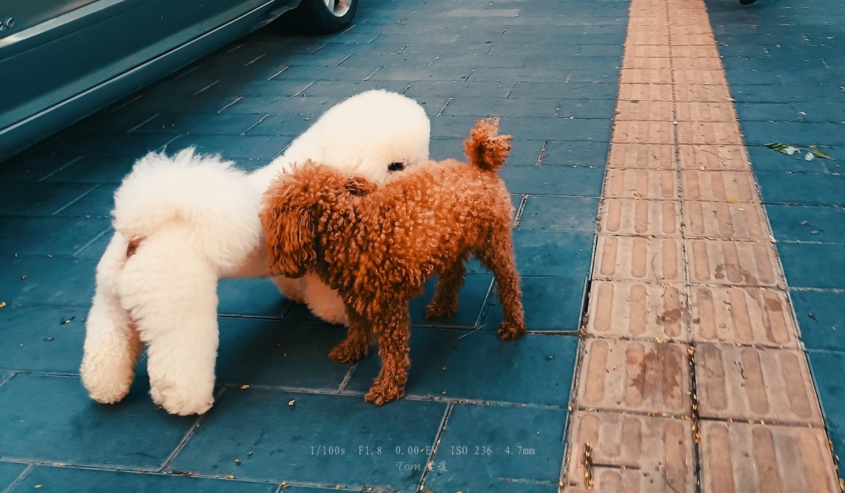 2023年终单幅作品