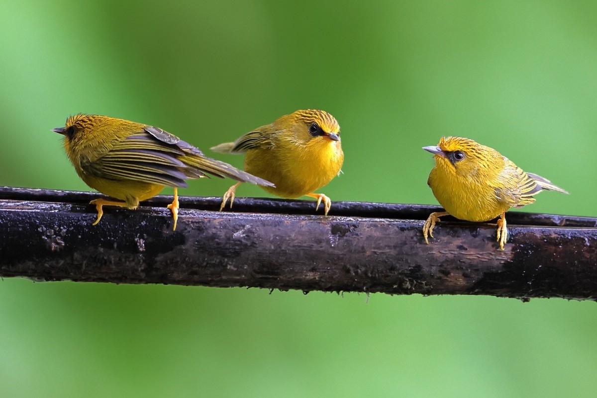 收获满满百花岭
