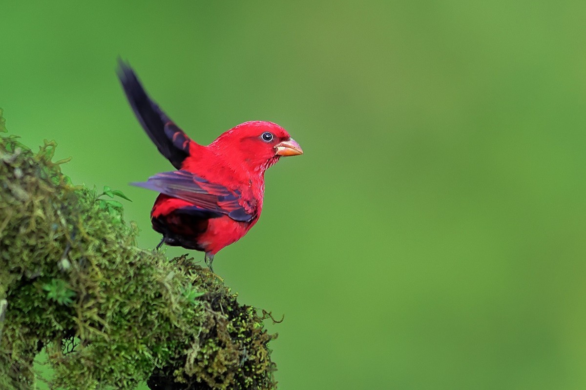 收获满满百花岭