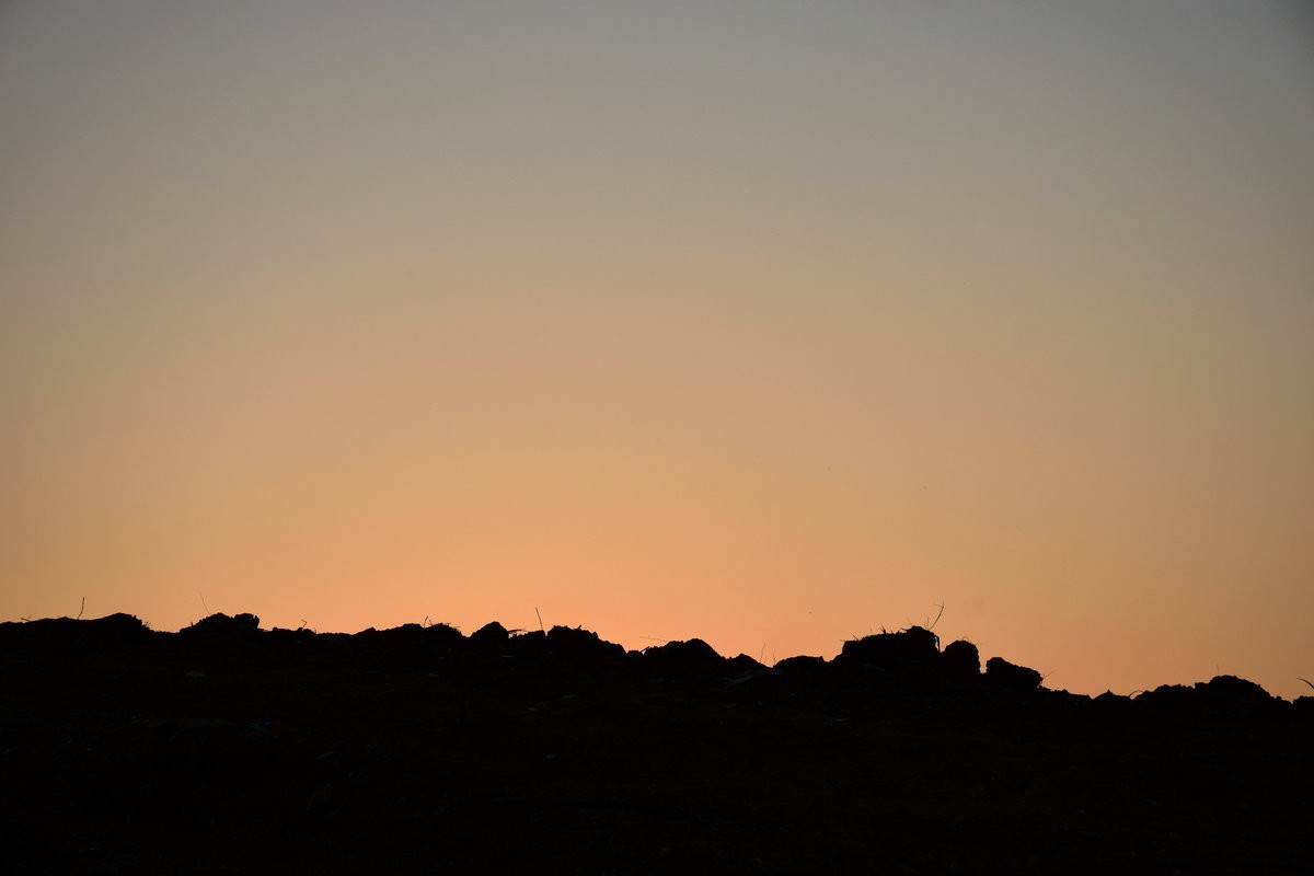 漫步星城 走街串巷（401）只争朝夕