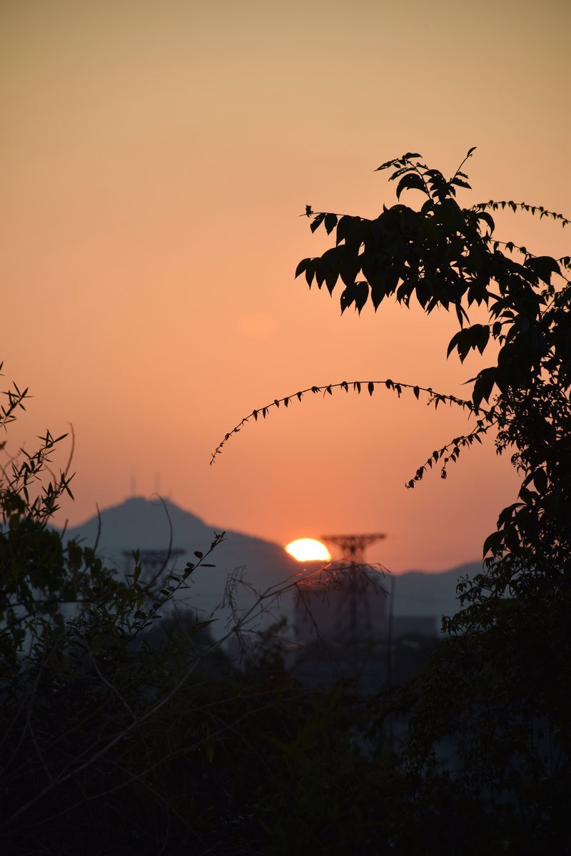 漫步星城 走街串巷（401）只争朝夕