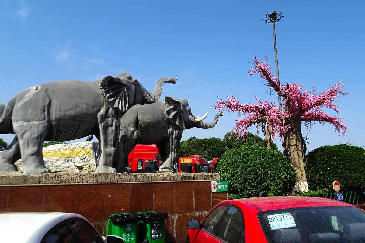 看三门峡汽车服务区