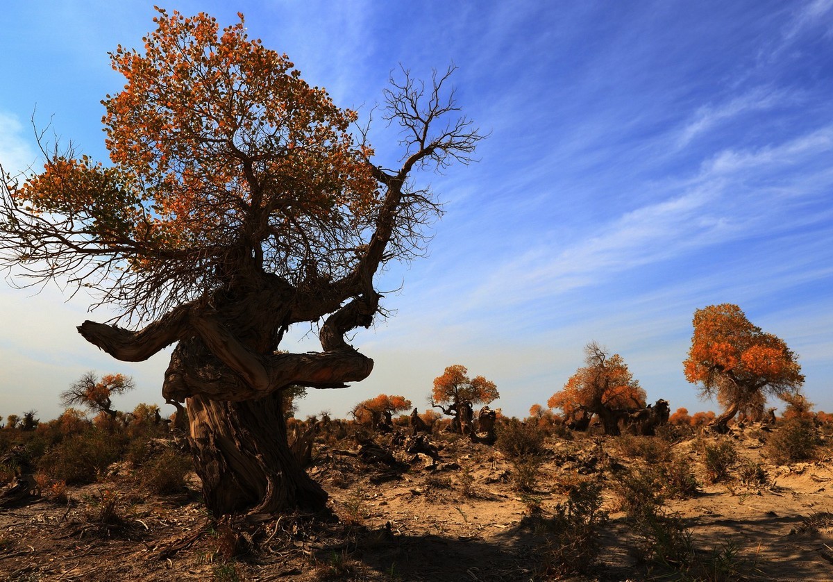 我只是把出去看到的随手记录下来（十七）