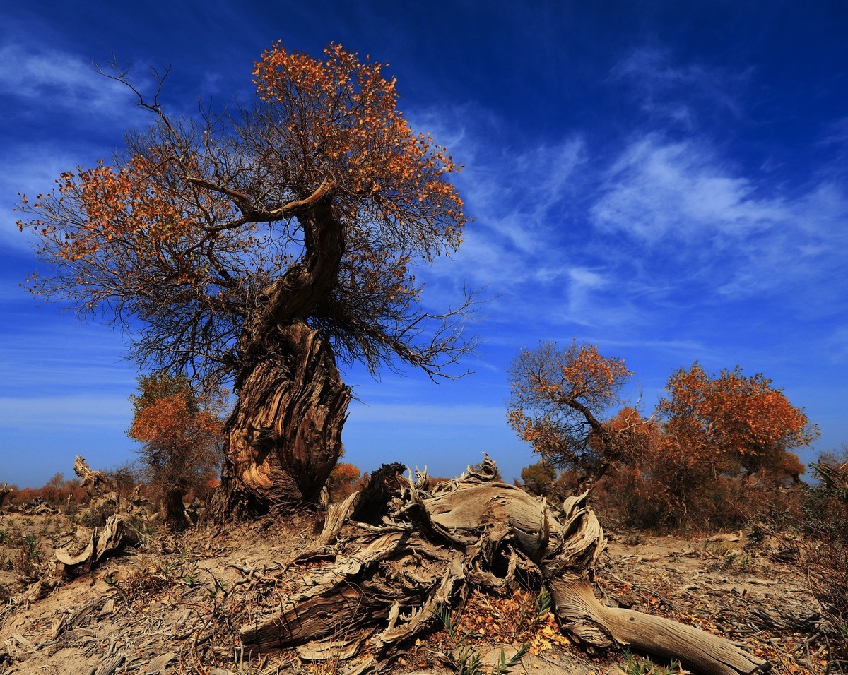 我只是把出去看到的随手记录下来（十七）