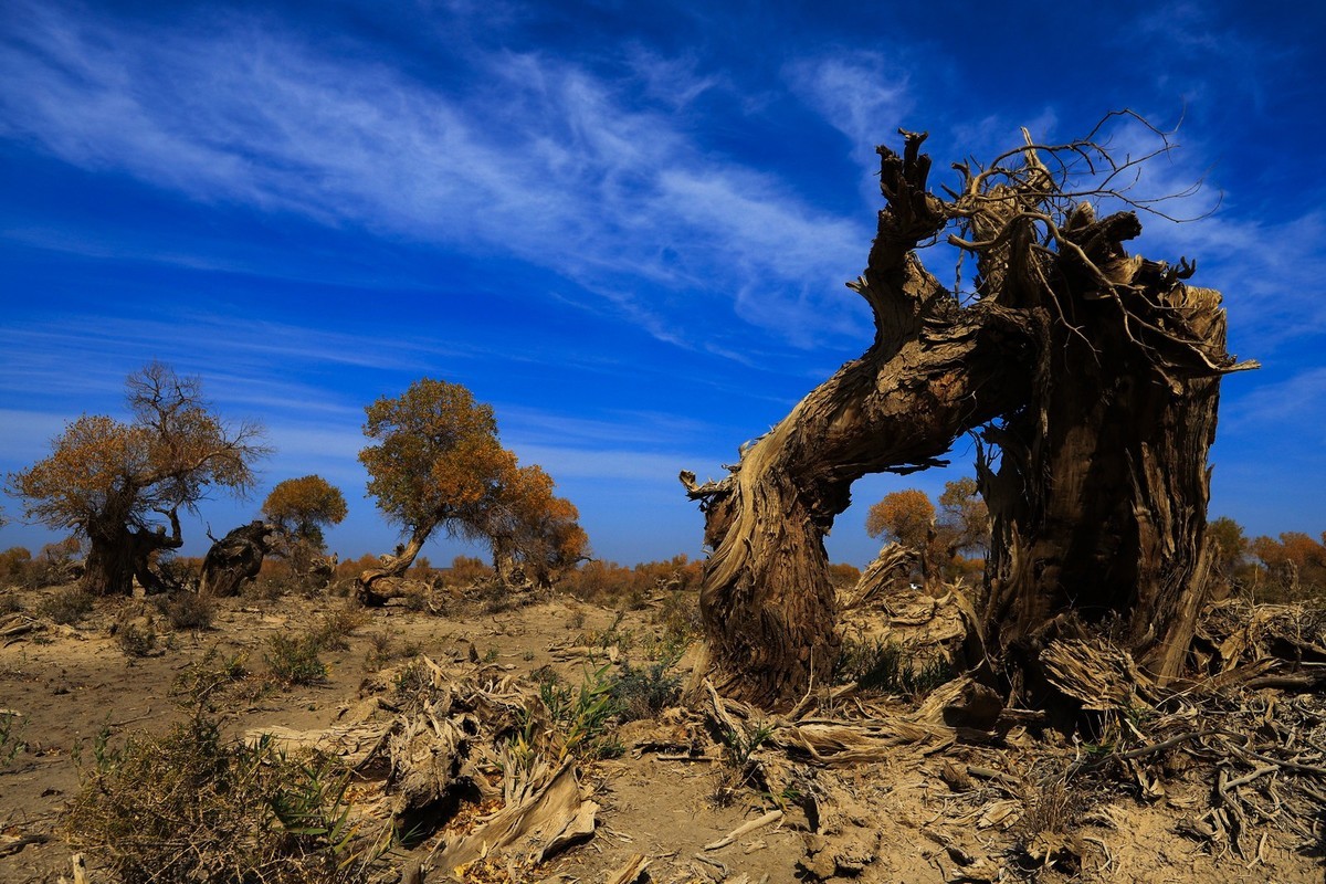 我只是把出去看到的随手记录下来（十七）