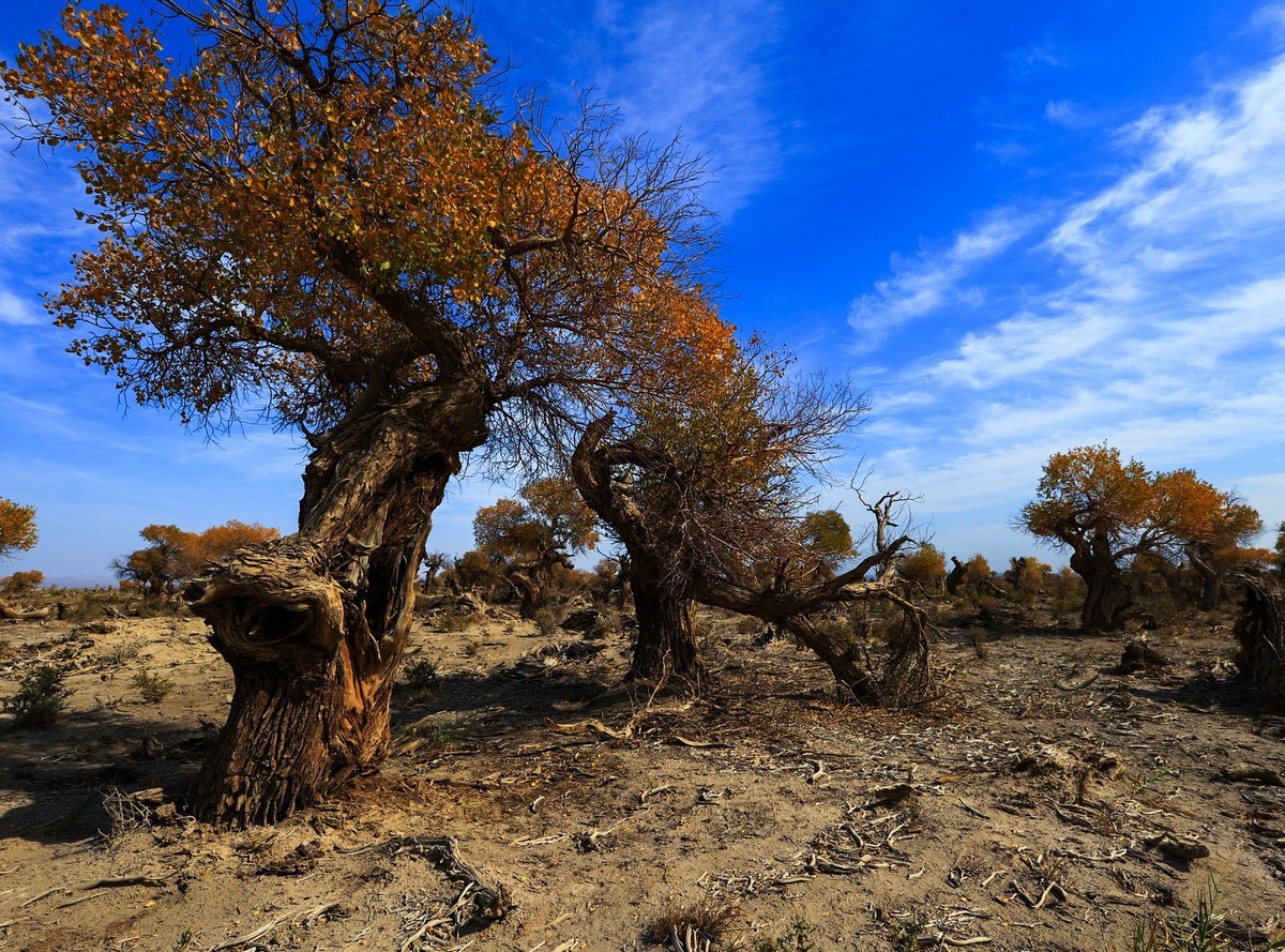 我只是把出去看到的随手记录下来（十七）