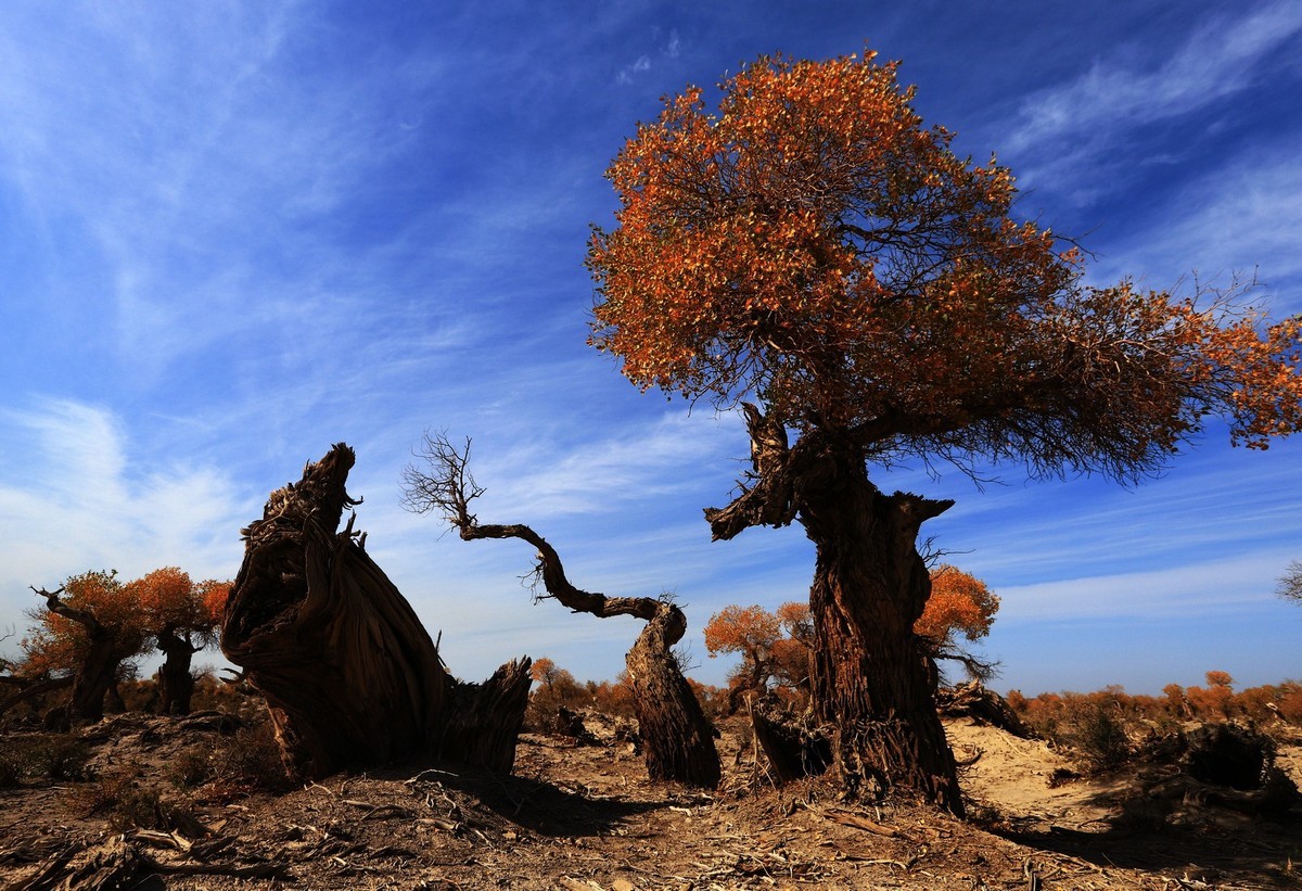 我只是把出去看到的随手记录下来（十七）