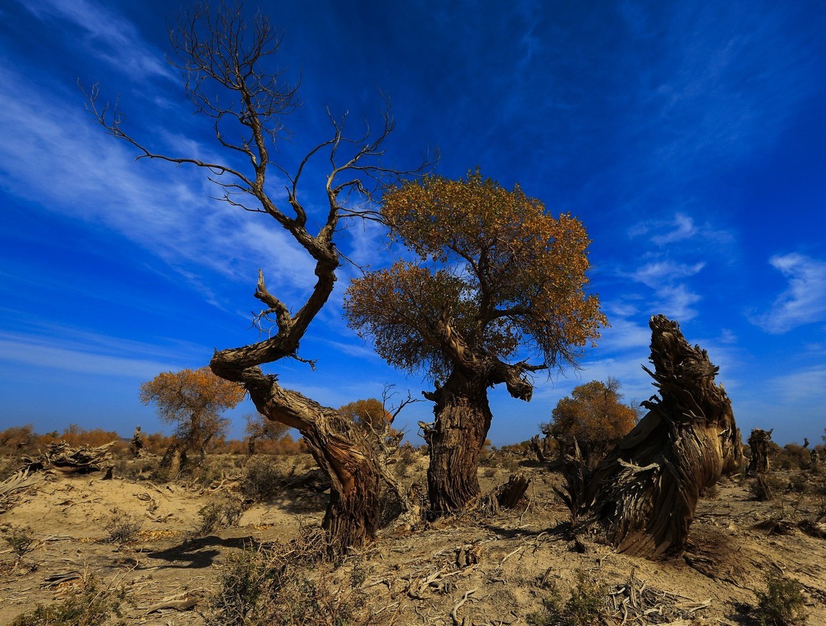 我只是把出去看到的随手记录下来（十七）